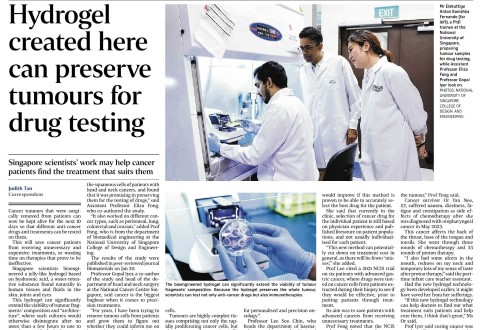 S’pore scientists create way to preserve cancer tumour cultures for better targeted drug testing